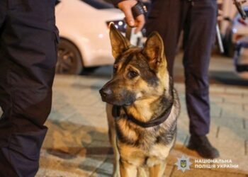 Поліція Черкас працює у посиленому режимі — Новости Черкасс