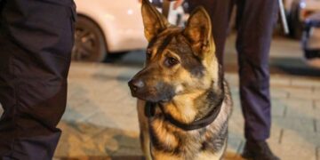Поліція Черкас працює у посиленому режимі  — Новости Черкасс