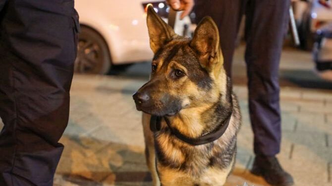 Поліція Черкас працює у посиленому режимі  — Новости Черкасс
