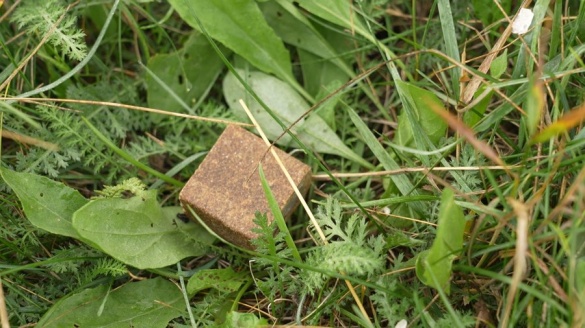 Понад 130 тисяч доз вакцини розкладуть на Черкащині для боротьби зі сказом