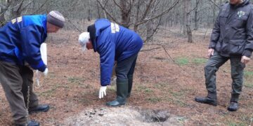 Понад 33 тисяч доз пероральної вакцини проти сказу поширили у районі на Житомирщині | Журнал Житомира