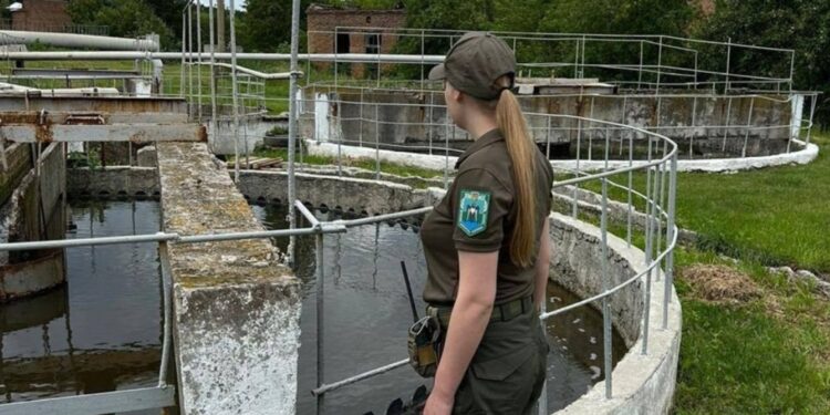 Повторне забруднення: Екоінспекція подала до суду на підприємство, що скидало стоки у річку Гнилоп’ять | Журнал Житомира