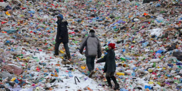 Проблемні сміттєзвалища Івано-Франківщини: судові баталії, екологічні проблеми та людські трагедії