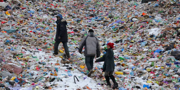 Проблемні сміттєзвалища Івано-Франківщини: судові баталії, екологічні проблеми та людські трагедії