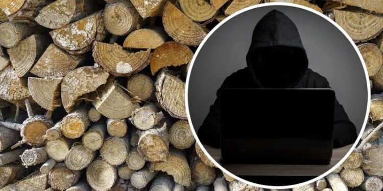 Шахрайська схема на дровах знову спрацювала: жителька Шепетівщини втратила понад 26 тис грн —Хмельнитчина
