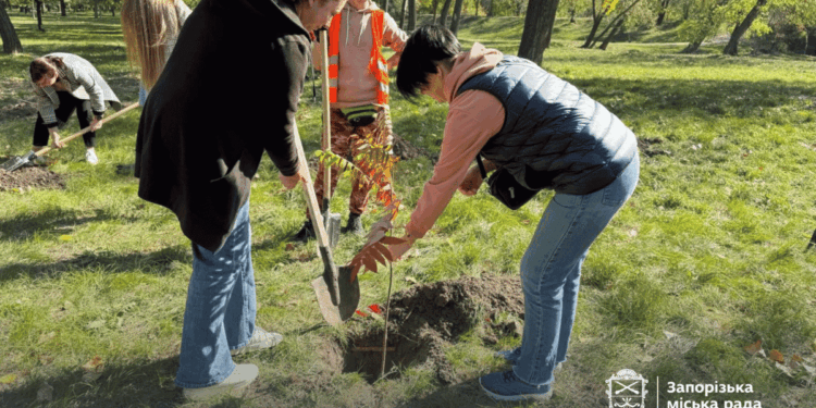У центральному парку Запоріжжя Дубовий гай висадили 60 молодих дерев, фото – до акції долучилися діти та молодь | Новости Запорожья