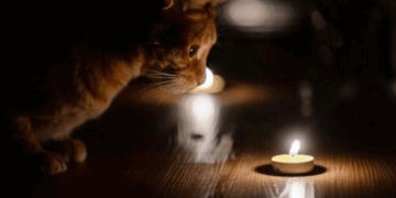 У Черкаській області діятимуть дві черги відключення світла