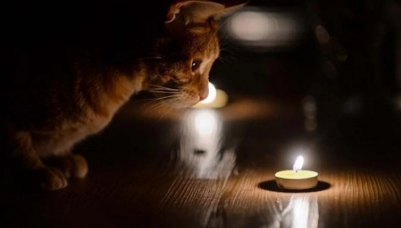 У Черкаській області діятимуть дві черги відключення світла