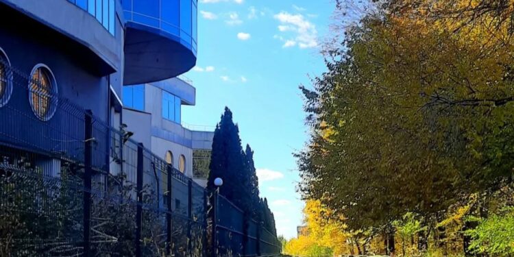 У Дніпровському районі Запоріжжя виявили стихійне сміттєзвалище – екоінспекція зобов’язала міськраду прибрати відходи | Новости Запорожья