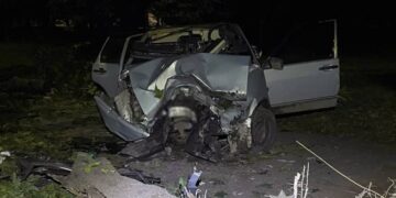 У Шепетівці авто влетіло в дерево: водія та двох пасажирів було госпіталізовано —Хмельнитчина