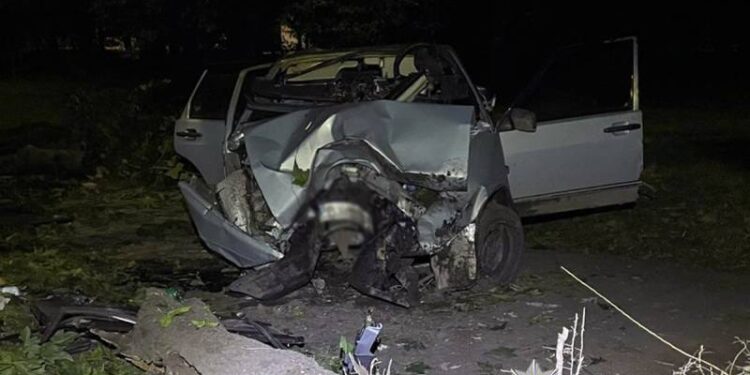 У Шепетівці авто влетіло в дерево: водія та двох пасажирів було госпіталізовано —Хмельнитчина