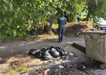 У Вознесенівському районі біля житлових  будинків  виявили одразу три стихійних сміттєзвалища | Новости Запорожья