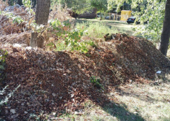 У Запоріжжі мешканці поскаржились на звалище біля будинку на Рекордній – екоінспекція виявила відходи | Новости Запорожья