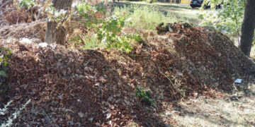 У Запоріжжі мешканці поскаржились на звалище біля будинку на Рекордній – екоінспекція виявила відходи | Новости Запорожья