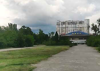 У Запоріжжі на роковини загибелі В’ячеслава Зайцева висадили лаванду в парку Тарасова | Новости Запорожья