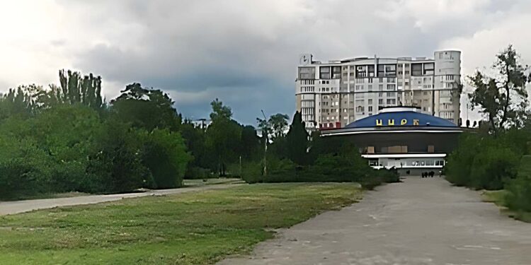 У Запоріжжі на роковини загибелі В’ячеслава Зайцева висадили лаванду в парку Тарасова | Новости Запорожья