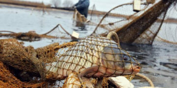 У Запоріжжі рибоохоронний патруль зафіксував два порушення – рибалки завдали збитків на 25 тисяч гривень | Новости Запорожья