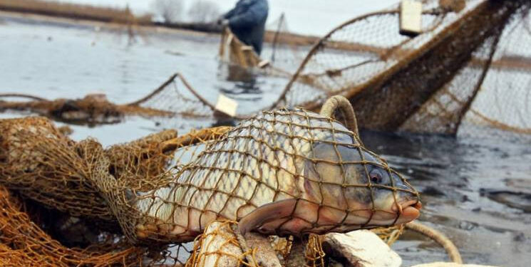У Запоріжжі рибоохоронний патруль зафіксував два порушення – рибалки завдали збитків на 25 тисяч гривень | Новости Запорожья