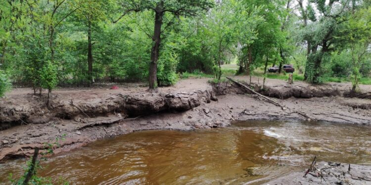 У Запоріжжі відбудеться бузкова толока – висаджування бузку біля річки Сухої для укріплення берегів | Новости Запорожья