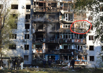 У Запоріжжі врятували кішку, яка вистрибнула з четвертого поверху після обстрілу 28 вересня – шукають господарів тварини | Новости Запорожья