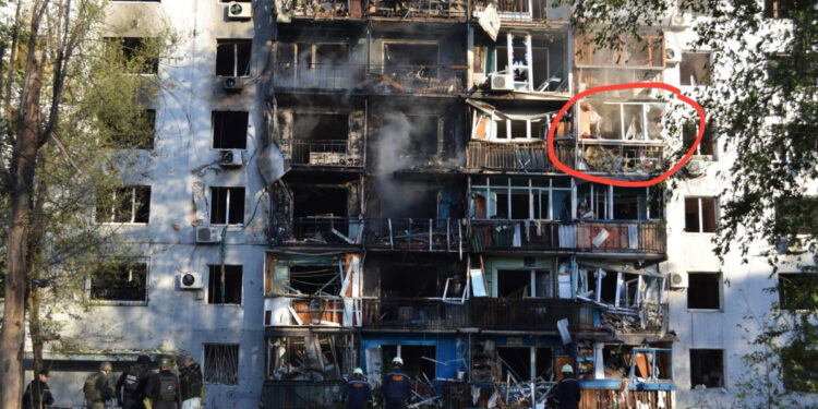 У Запоріжжі врятували кішку, яка вистрибнула з четвертого поверху після обстрілу 28 вересня – шукають господарів тварини | Новости Запорожья