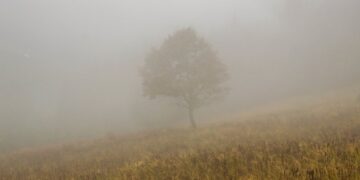 Волога прохолода зміниться коротким потеплінням: якою буде погода на Черкащині