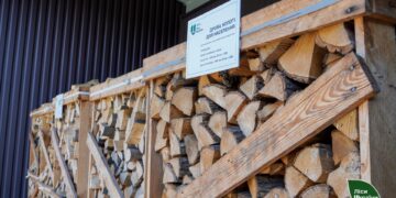 Зима близько: ціни на дрова та де їх придбати на Житомирщині | Журнал Житомира