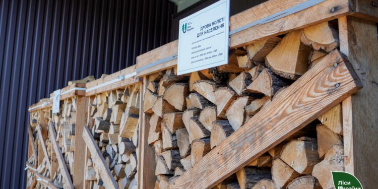 Зима близько: ціни на дрова та де їх придбати на Житомирщині | Журнал Житомира