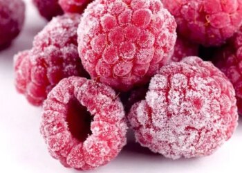 Другий рік поспіль Україна стане найбільшим експортером малини в Європі – ЭКОНОМИКА