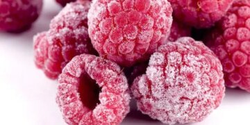 Другий рік поспіль Україна стане найбільшим експортером малини в Європі – ЭКОНОМИКА