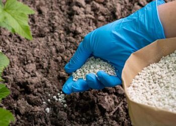 OSTCHEM оновив ціни на добрива – ЭКОНОМИКА