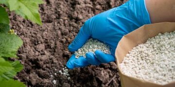 OSTCHEM оновив ціни на добрива – ЭКОНОМИКА