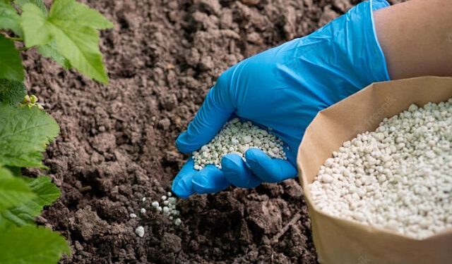 OSTCHEM оновив ціни на добрива – ЭКОНОМИКА