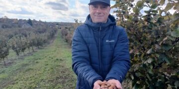 Волинський фермер отримав грант на переробку фундука після високого врожаю – ЭКОНОМИКА