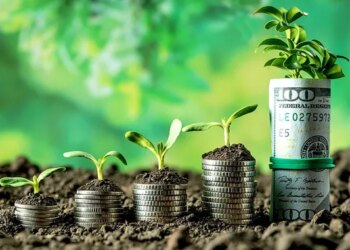 Які програми держпідтримки чекають на фермерів у 2026 році: коментар експертів Мінагрополітики – ЭКОНОМИКА