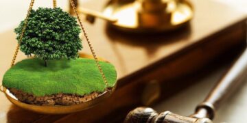 Брусилівській громаді повернули понад 232 гектари землі, яку незаконно орендували | Журнал Житомира