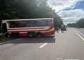 Дев’ятеро потерпілих через зіткнення рейсового автобуса і авто: поліція завершила розслідування причин аварії | Журнал Житомира