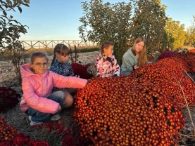 Діти на відпочинку / Херсонська ОВА