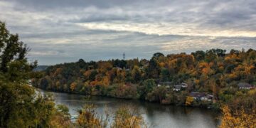 Дощ та сніг: якою буде погода на Житомирщині 17-23 листопада | Журнал Житомира