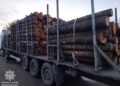 Дві вантажівки з деревиною та неналежними документами виявили патрульні на Житомирщині | Журнал Житомира