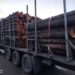 Дві вантажівки з деревиною та неналежними документами виявили патрульні на Житомирщині | Журнал Житомира