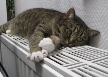 Яка ситуація з теплом у Запоріжжі – опалювальний сезон, куди поскаржитись на холодні батареї