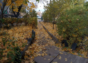 Якими у Запоріжжі будуть останні дні жовтня – прогноз погоди | Новости Запорожья