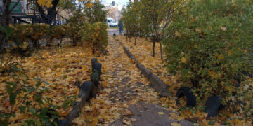 Якими у Запоріжжі будуть останні дні жовтня – прогноз погоди | Новости Запорожья