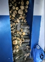 Дрова / Фото: Микола Лучка