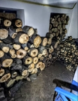 Дрова / Фото: Микола Лучка