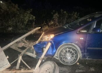 На Львівщині внаслідок ДТП постраждали водії мікроавтобуса та підводи