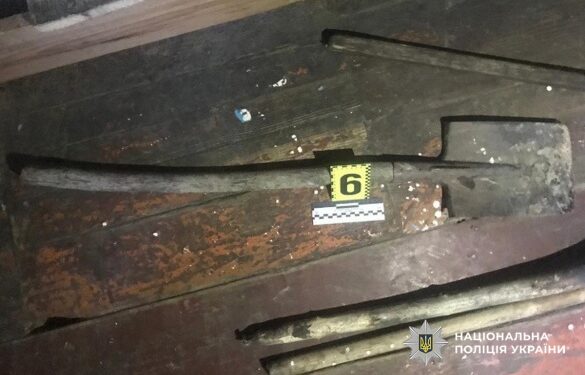 На Уманщині жінка лопатою побила свого співмешканця