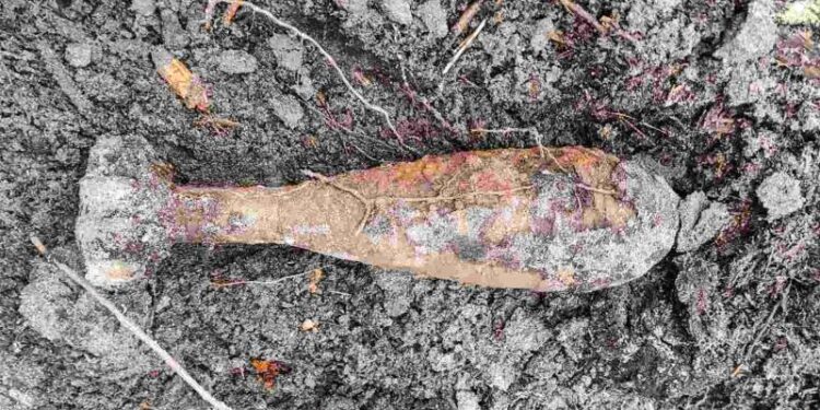 Неподалік Рудні-Новенької виявили мінометну міну калібром 82 мм —Хмельнитчина