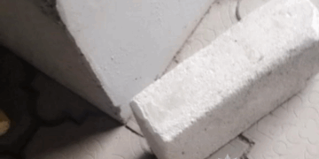 Пошкодив монітор в укритті: у Миколаєві поліцейські встановили особу та склали адмінматеріал на батьків підлітка » Миколаївський Оглядач